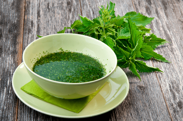 NETTLE LEAVES INFUSION - REMEDY FOLK FOR DIABETES